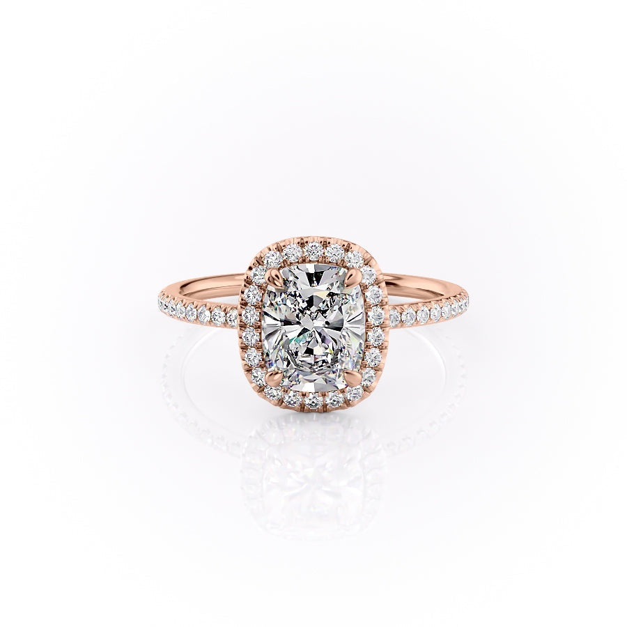 FLM253