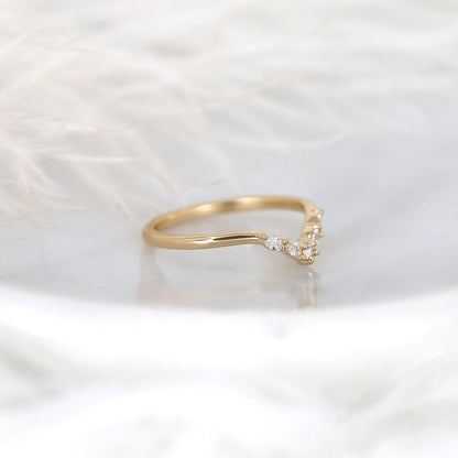 LAP076