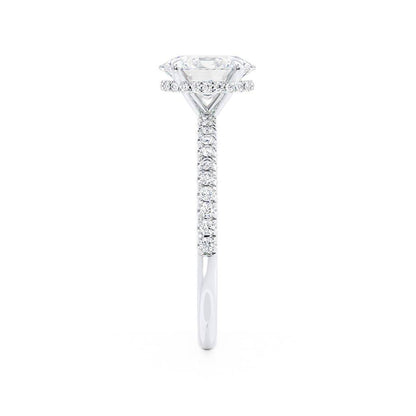 LAW007