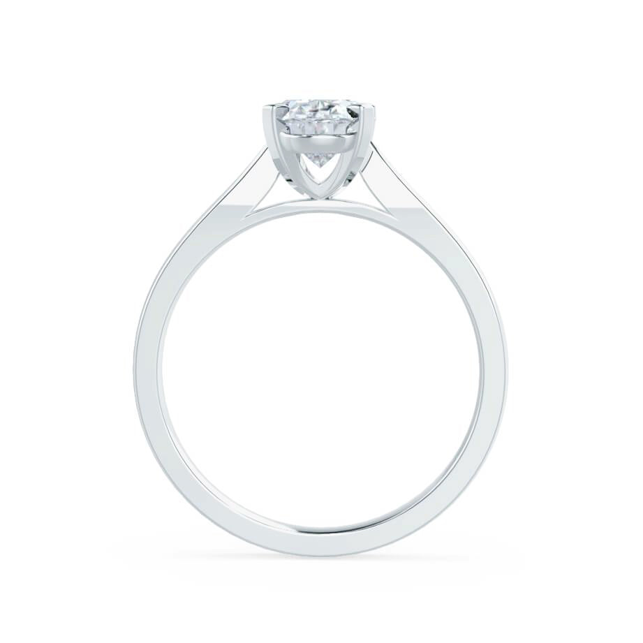 LAW436